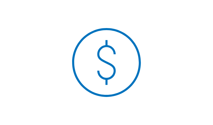 coin icon