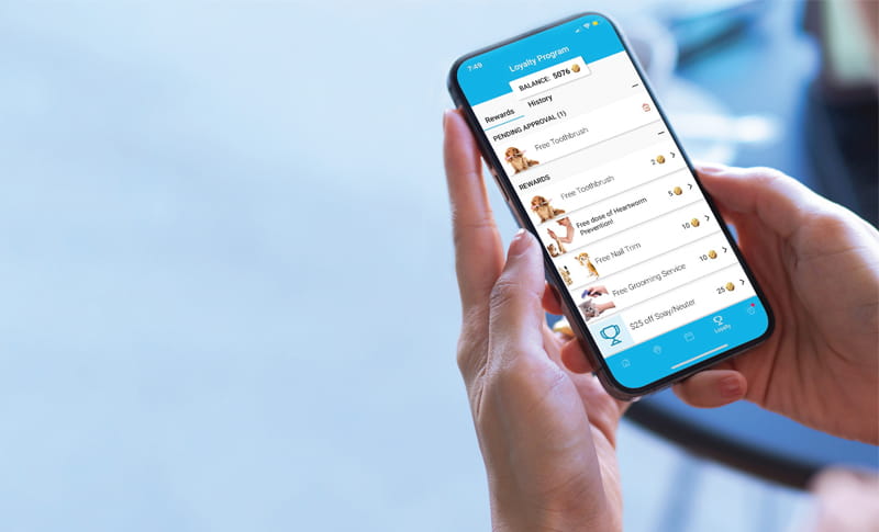 Client Loyalty Program App