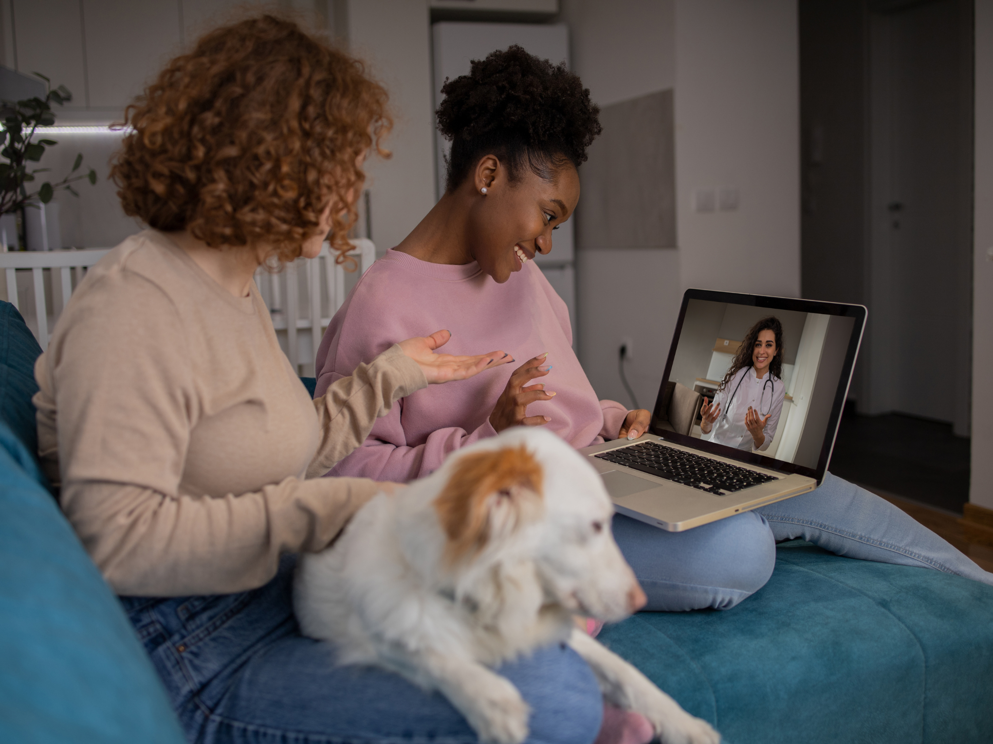 two women on telemedicine call with their dog's veterinarian