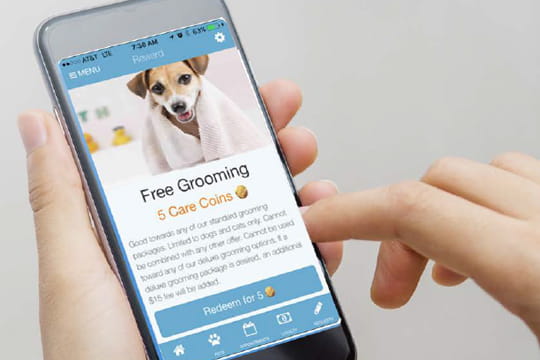 Client Loyalty Program App