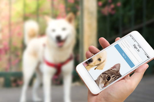 Patient Portal mobile app